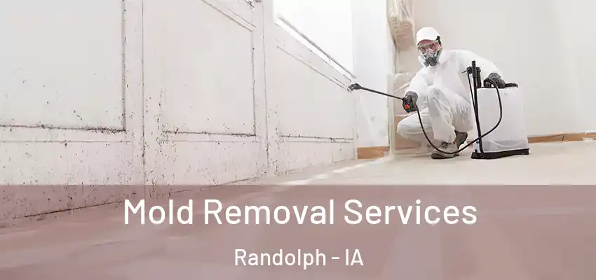  Mold Removal Services Randolph - IA