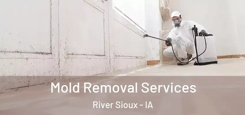  Mold Removal Services River Sioux - IA