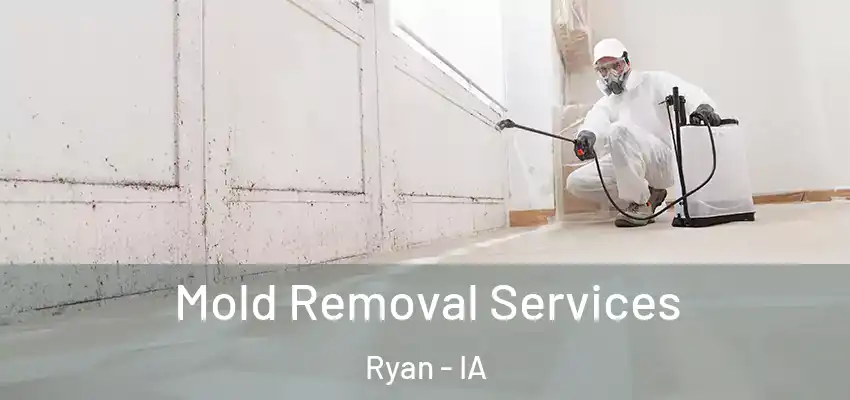 Mold Removal Services Ryan - IA