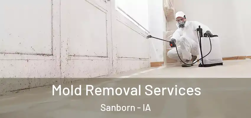  Mold Removal Services Sanborn - IA