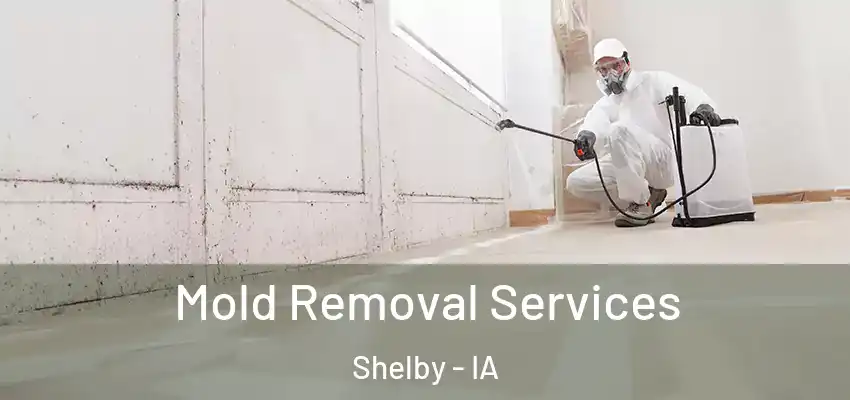 Mold Removal Services Shelby - IA