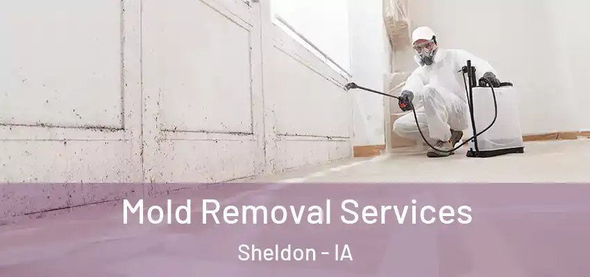  Mold Removal Services Sheldon - IA