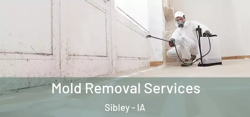 Mold Removal Services Sibley - IA