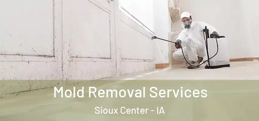 Mold Removal Services Sioux Center - IA
