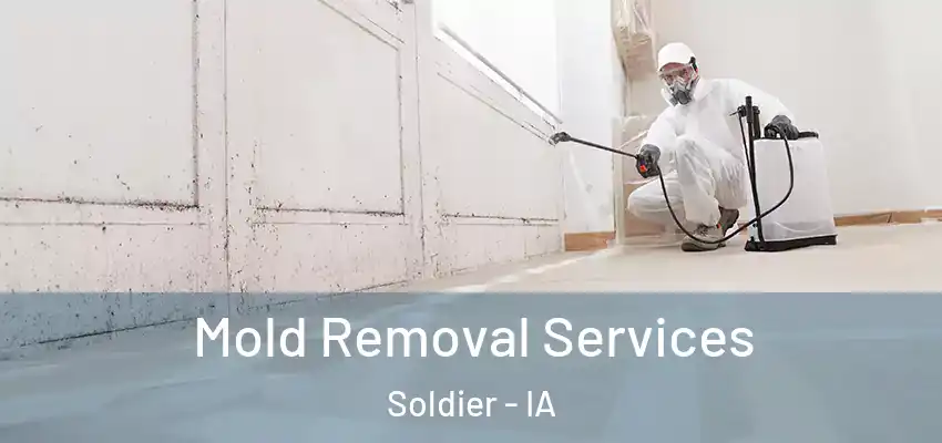  Mold Removal Services Soldier - IA