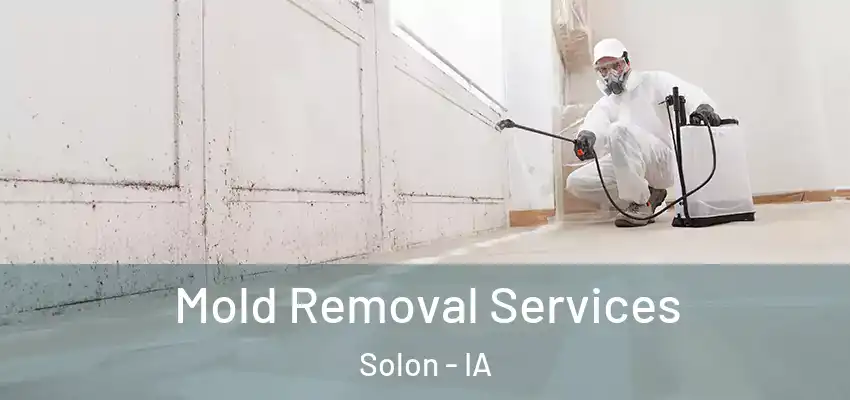  Mold Removal Services Solon - IA