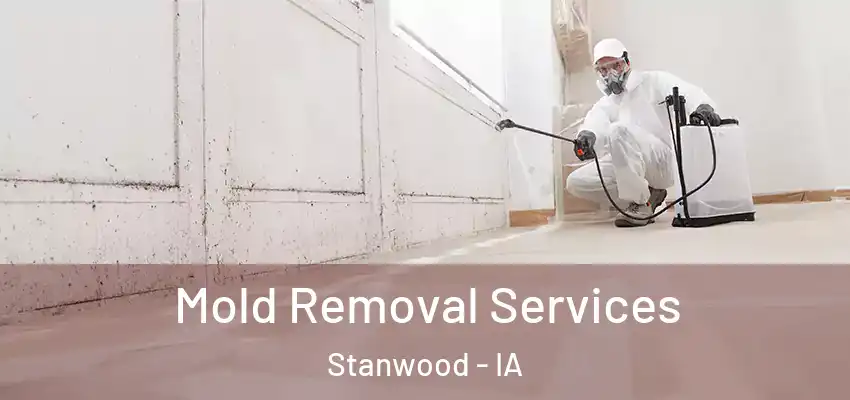 Mold Removal Services Stanwood - IA