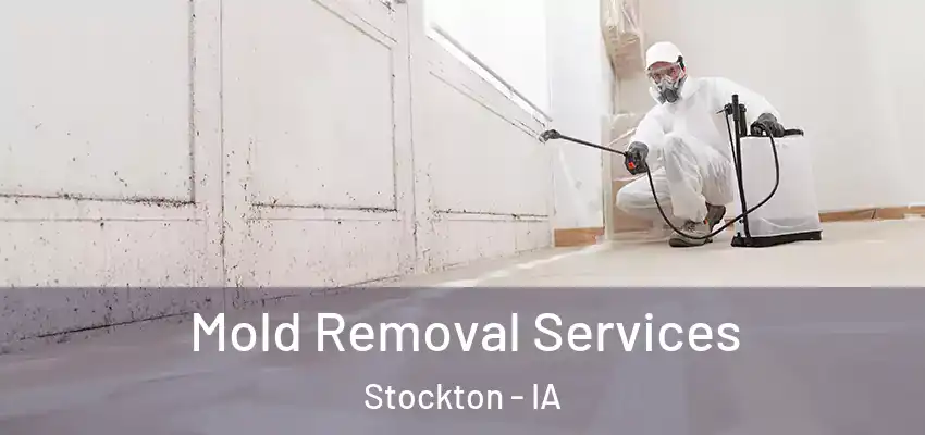 Mold Removal Services Stockton - IA