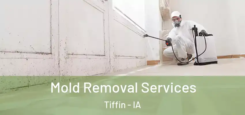  Mold Removal Services Tiffin - IA