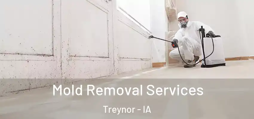  Mold Removal Services Treynor - IA