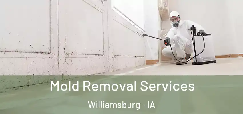  Mold Removal Services Williamsburg - IA