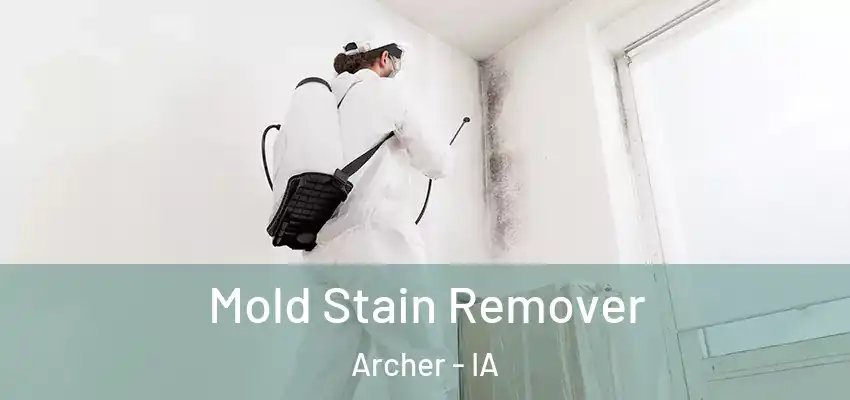  Mold Stain Remover Archer - IA