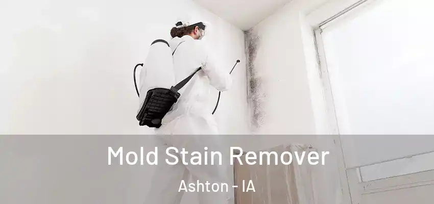 Mold Stain Remover Ashton - IA