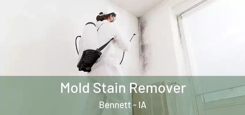 Mold Stain Remover Bennett - IA