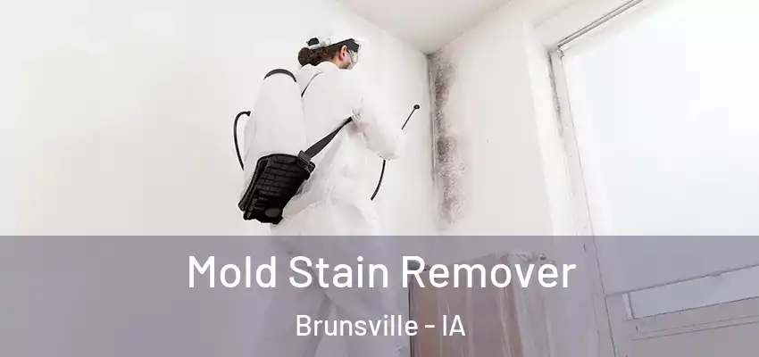 Mold Stain Remover Brunsville - IA