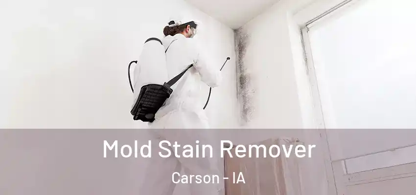 Mold Stain Remover Carson - IA