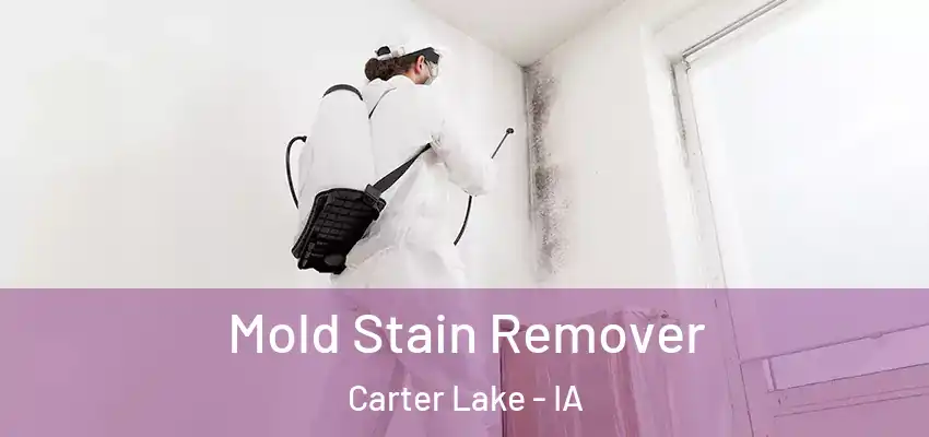 Mold Stain Remover Carter Lake - IA