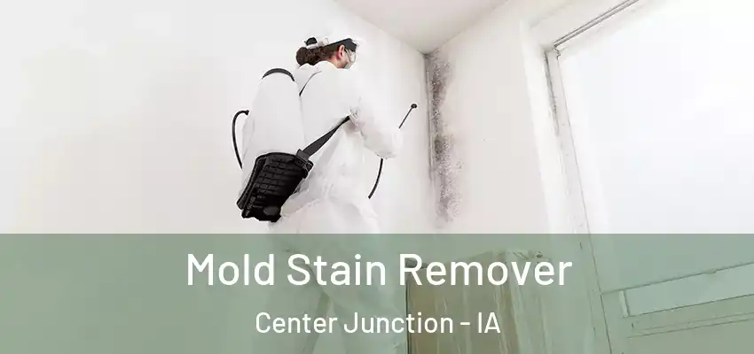 Mold Stain Remover Center Junction - IA
