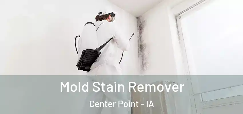 Mold Stain Remover Center Point - IA