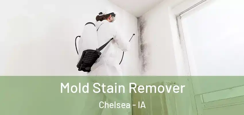Mold Stain Remover Chelsea - IA