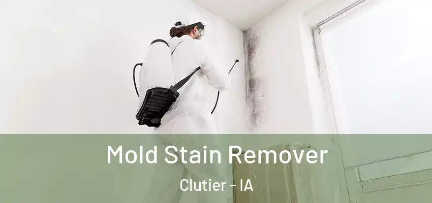 Mold Stain Remover Clutier - IA