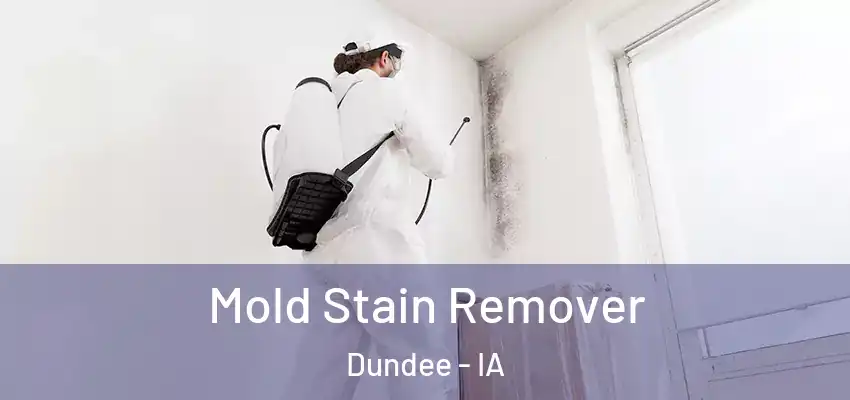 Mold Stain Remover Dundee - IA