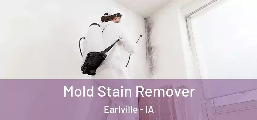 Mold Stain Remover Earlville - IA