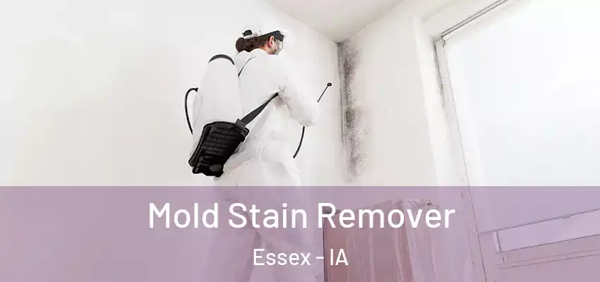  Mold Stain Remover Essex - IA