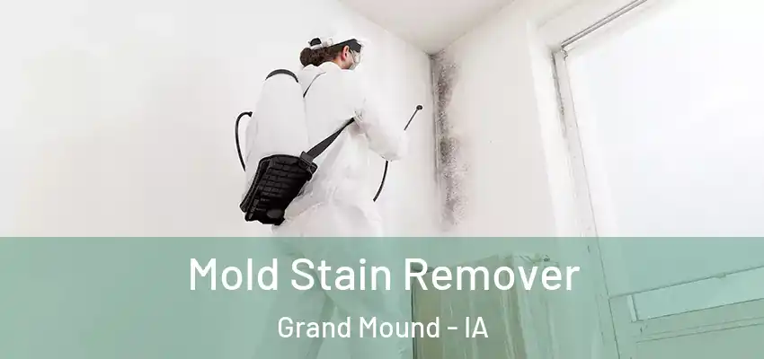 Mold Stain Remover Grand Mound - IA