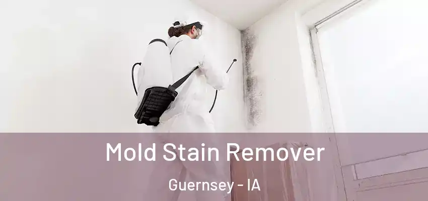Mold Stain Remover Guernsey - IA