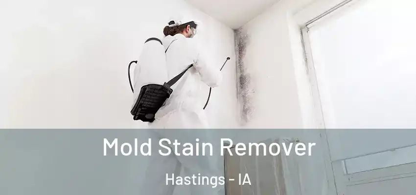 Mold Stain Remover Hastings - IA