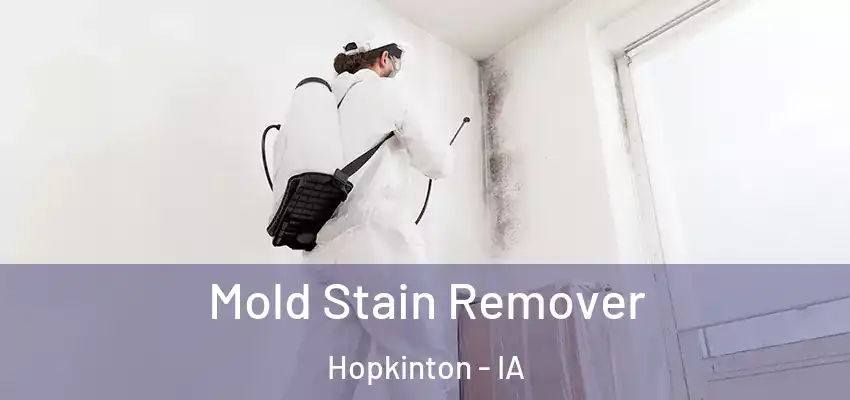 Mold Stain Remover Hopkinton - IA