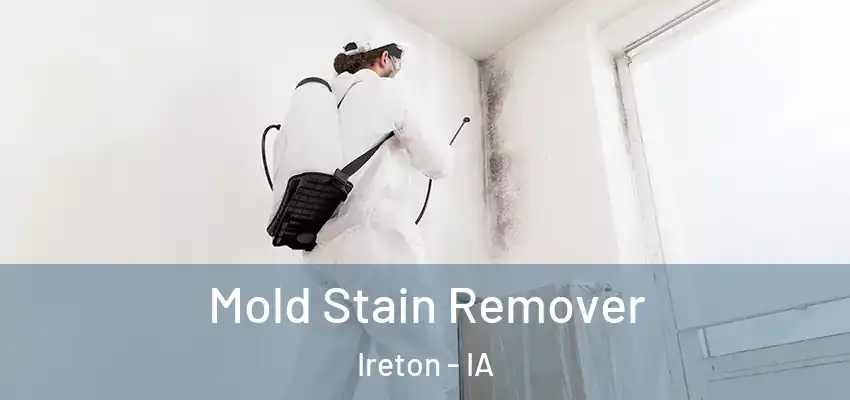  Mold Stain Remover Ireton - IA