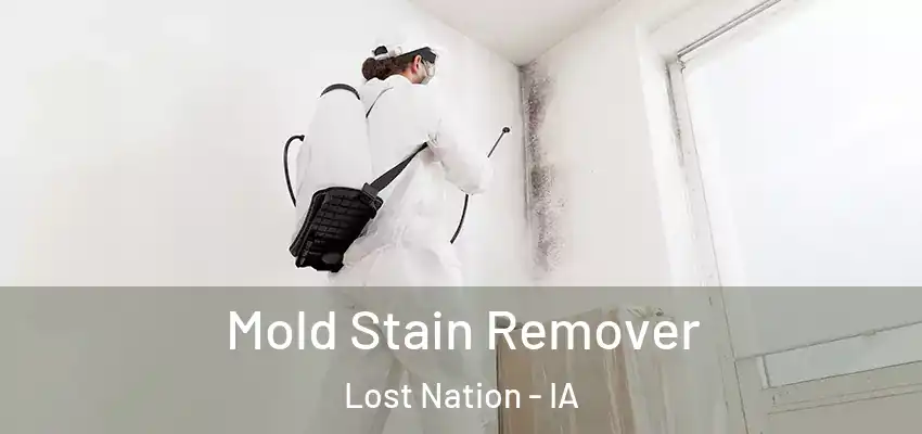 Mold Stain Remover Lost Nation - IA