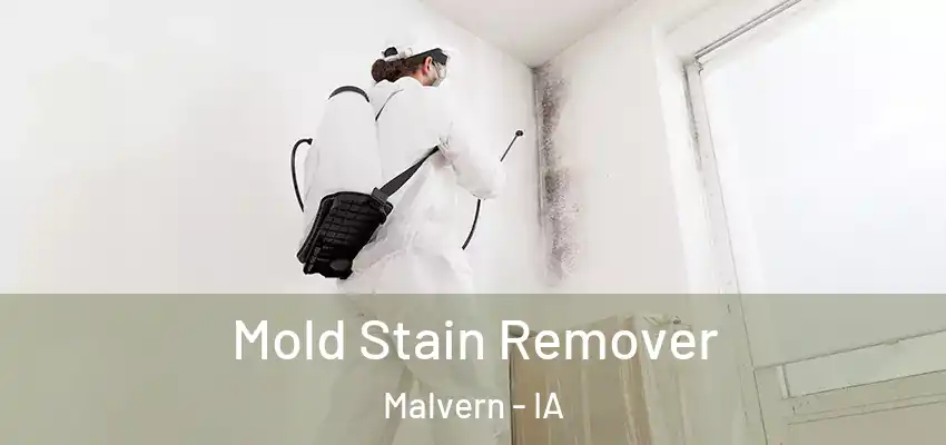  Mold Stain Remover Malvern - IA