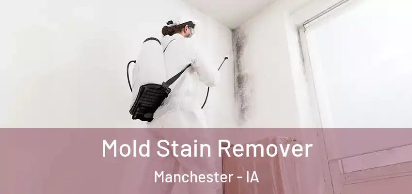  Mold Stain Remover Manchester - IA