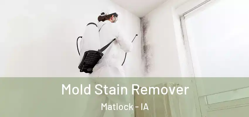  Mold Stain Remover Matlock - IA