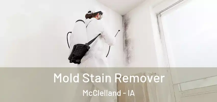  Mold Stain Remover McClelland - IA
