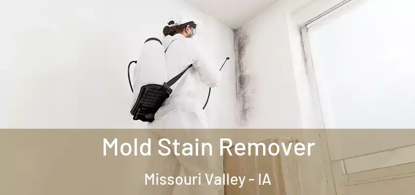 Mold Stain Remover Missouri Valley - IA