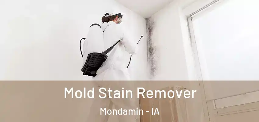 Mold Stain Remover Mondamin - IA