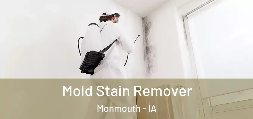 Mold Stain Remover Monmouth - IA