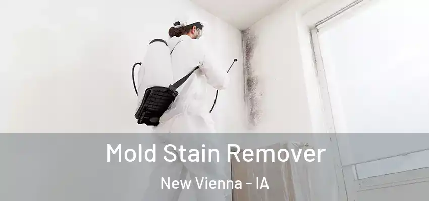 Mold Stain Remover New Vienna - IA