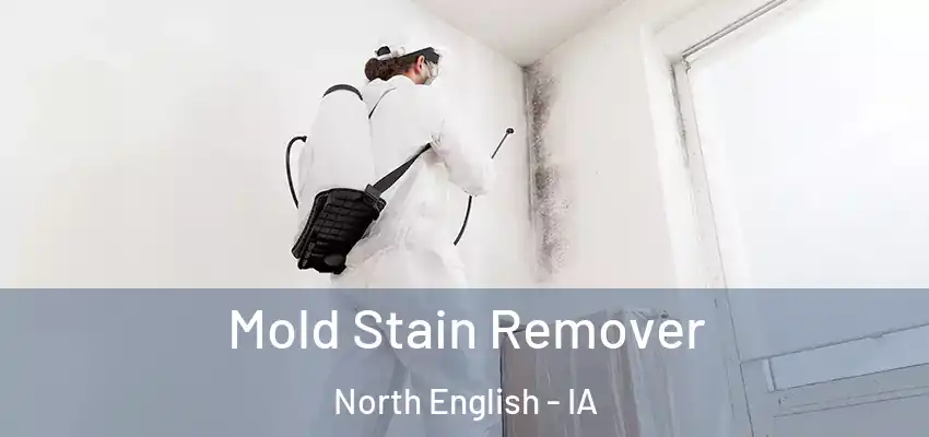  Mold Stain Remover North English - IA