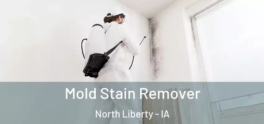 Mold Stain Remover North Liberty - IA