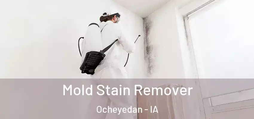  Mold Stain Remover Ocheyedan - IA