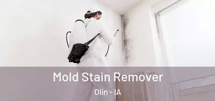 Mold Stain Remover Olin - IA