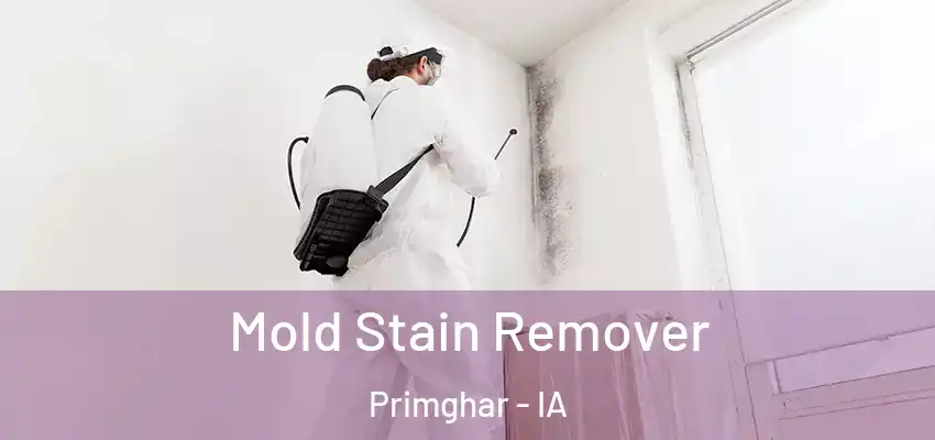  Mold Stain Remover Primghar - IA