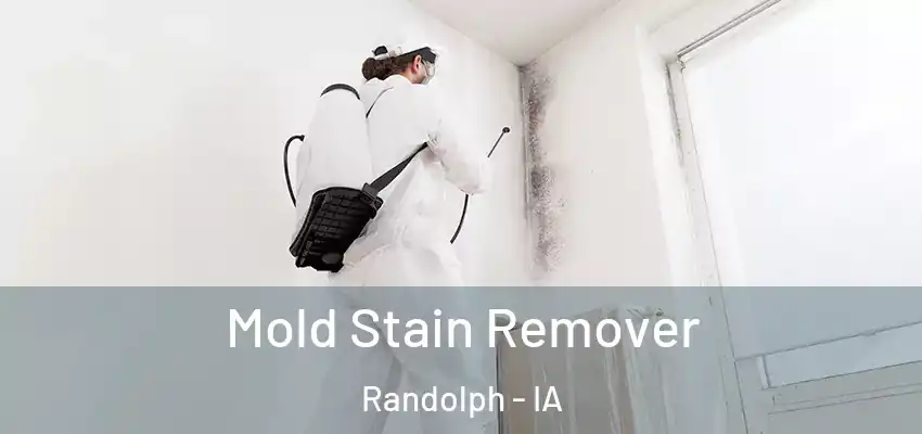  Mold Stain Remover Randolph - IA