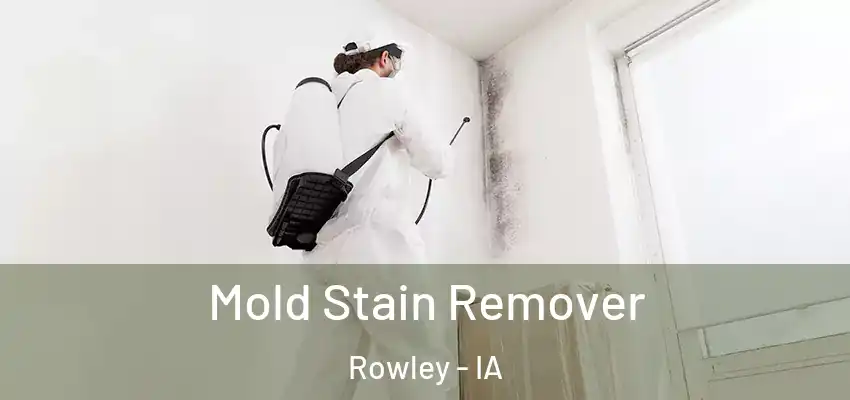  Mold Stain Remover Rowley - IA