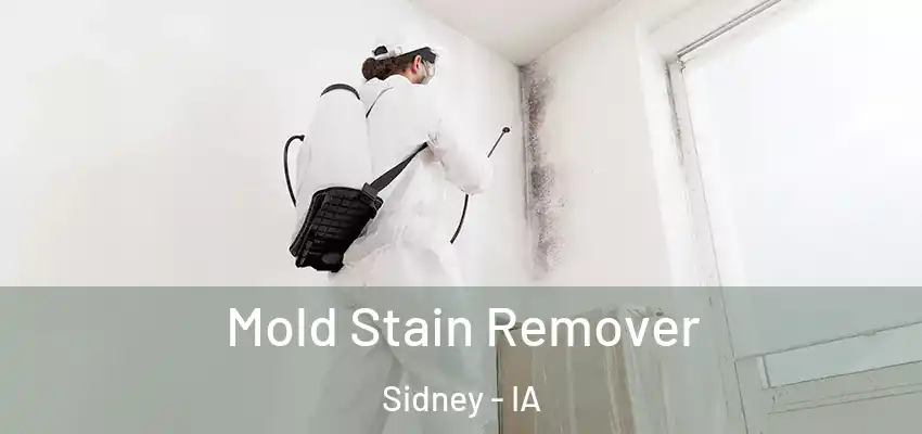  Mold Stain Remover Sidney - IA